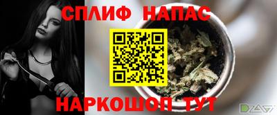 стаф Новодвинск