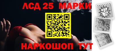 стаф Новодвинск