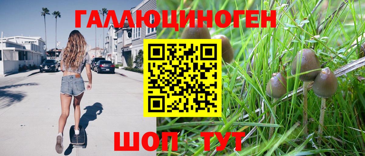 Галлюциногенные грибы прущие грибы  Вход с VPN  Туапсе 